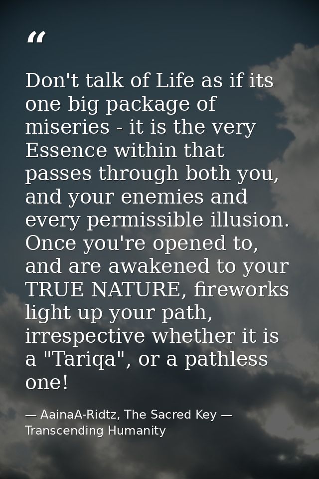 Don't talk of Life as if its one big package of miseries - it is the very Essence within that passes through both you, a — AainaA-Ridtz, The Sacred Key — Transcending Humanity
