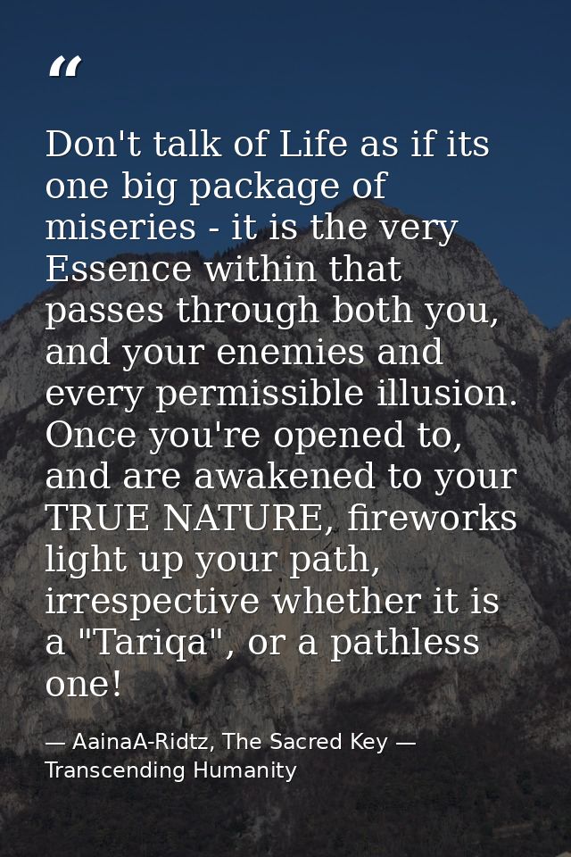 Don't talk of Life as if its one big package of miseries - it is the very Essence within that passes through both you, a — AainaA-Ridtz, The Sacred Key — Transcending Humanity