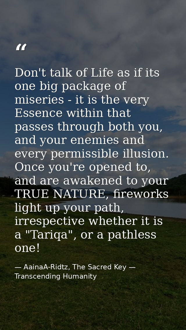 Don't talk of Life as if its one big package of miseries - it is the very Essence within that passes through both you, a — AainaA-Ridtz, The Sacred Key — Transcending Humanity