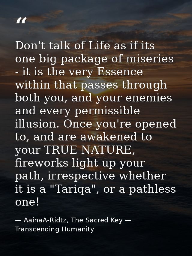 Don't talk of Life as if its one big package of miseries - it is the very Essence within that passes through both you, a — AainaA-Ridtz, The Sacred Key — Transcending Humanity