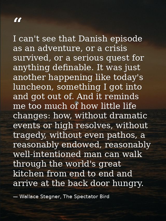 I can't see that Danish episode as an adventure, or a crisis survived, or a serious quest for anything definable. It was — Wallace Stegner, The Spectator Bird
