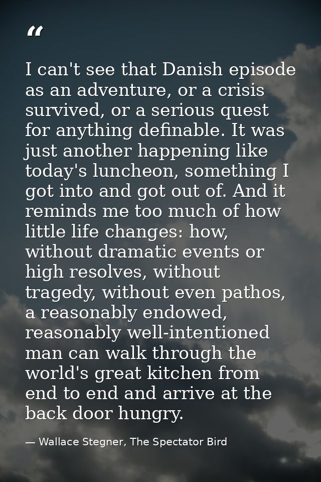 I can't see that Danish episode as an adventure, or a crisis survived, or a serious quest for anything definable. It was — Wallace Stegner, The Spectator Bird