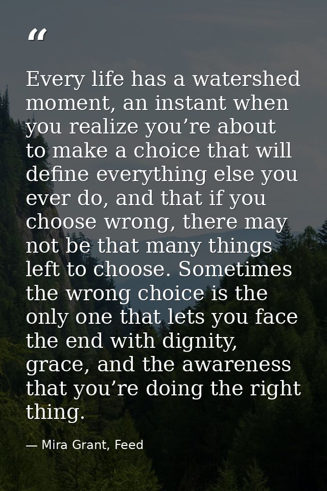 Every life has a watershed moment, an instant when you realize you’re about to make a choice that will define everything — Mira Grant, Feed
