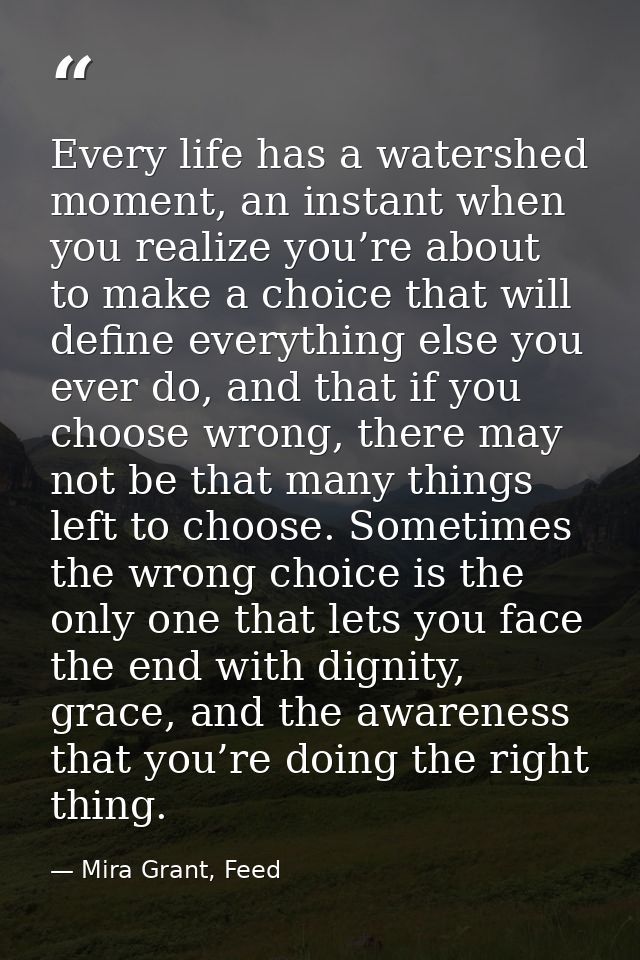 Every life has a watershed moment, an instant when you realize you’re about to make a choice that will define everything — Mira Grant, Feed