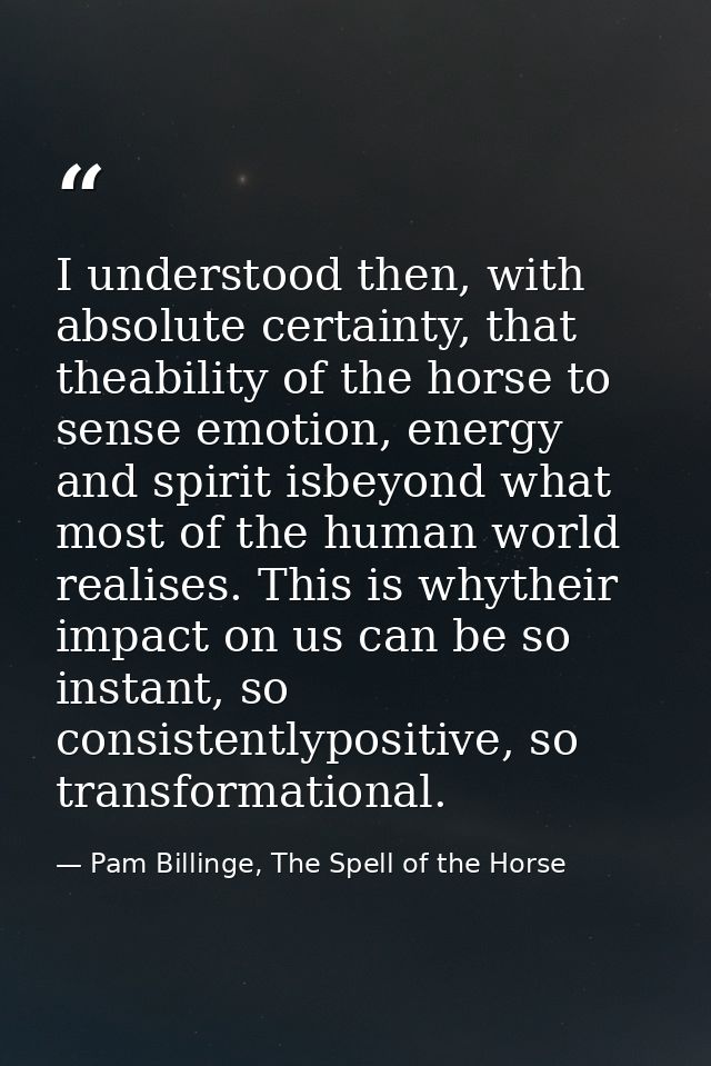 I understood then, with absolute certainty, that theability of the horse to sense emotion, energy and spirit isbeyond wh — Pam Billinge, The Spell of the Horse