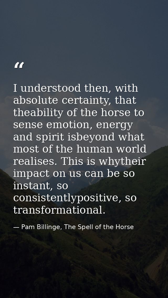 I understood then, with absolute certainty, that theability of the horse to sense emotion, energy and spirit isbeyond wh — Pam Billinge, The Spell of the Horse