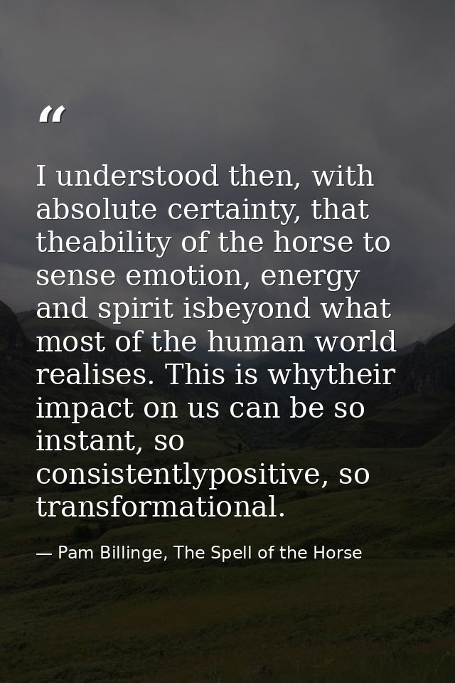 I understood then, with absolute certainty, that theability of the horse to sense emotion, energy and spirit isbeyond wh — Pam Billinge, The Spell of the Horse