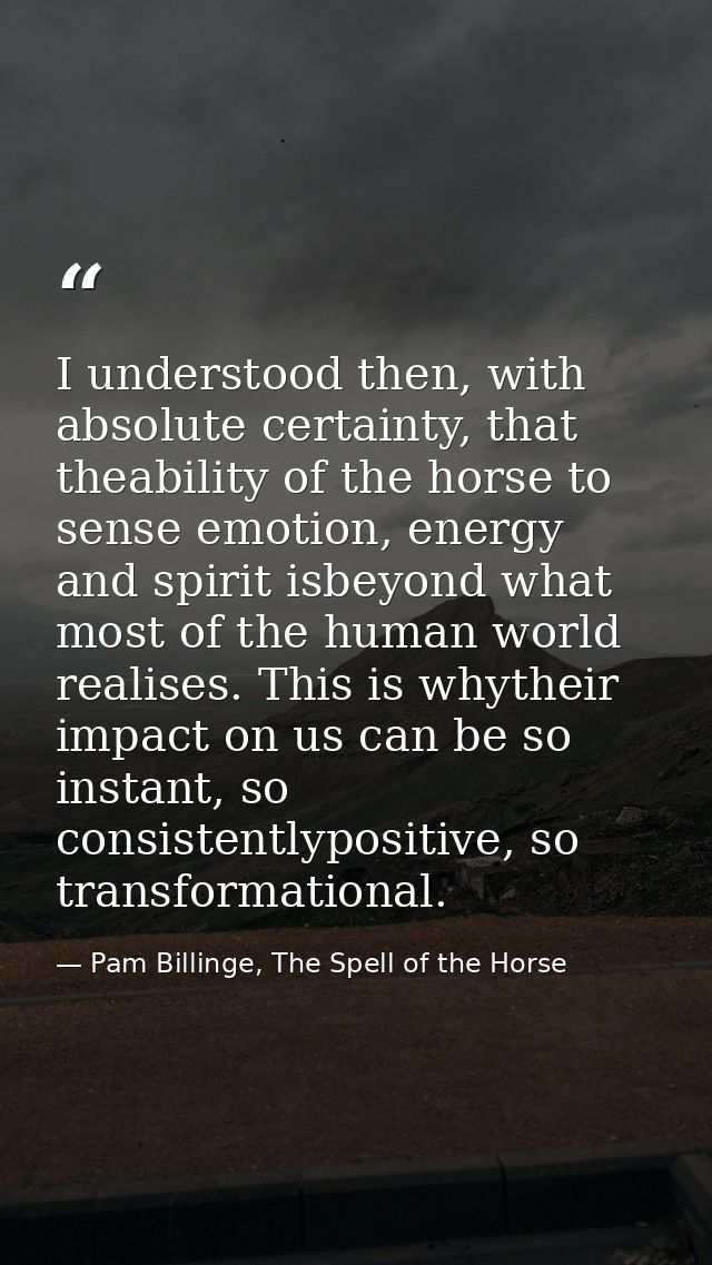I understood then, with absolute certainty, that theability of the horse to sense emotion, energy and spirit isbeyond wh — Pam Billinge, The Spell of the Horse