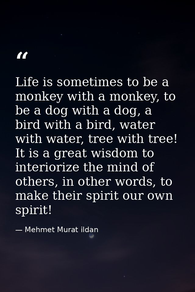 Life is sometimes to be a monkey with a monkey, to be a dog with a dog, a bird with a bird, water with water, tree with  — Mehmet Murat ildan