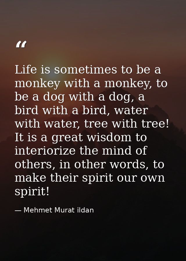 Life is sometimes to be a monkey with a monkey, to be a dog with a dog, a bird with a bird, water with water, tree with  — Mehmet Murat ildan