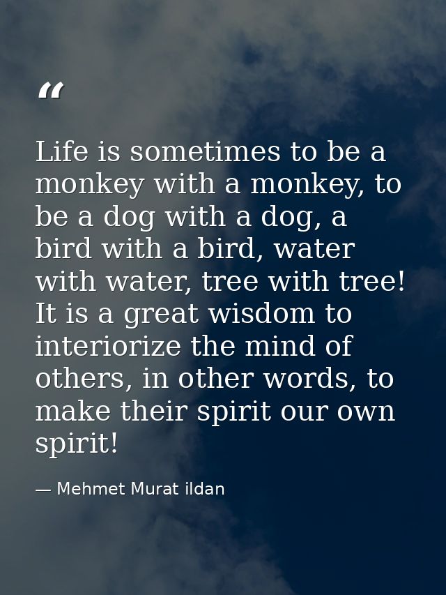Life is sometimes to be a monkey with a monkey, to be a dog with a dog, a bird with a bird, water with water, tree with  — Mehmet Murat ildan