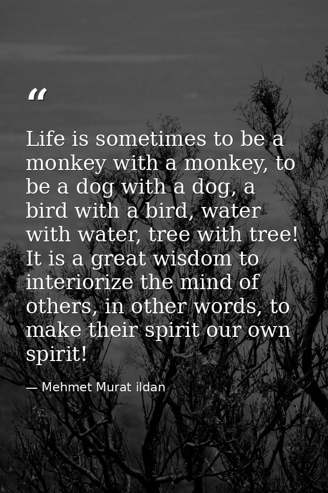 Life is sometimes to be a monkey with a monkey, to be a dog with a dog, a bird with a bird, water with water, tree with  — Mehmet Murat ildan