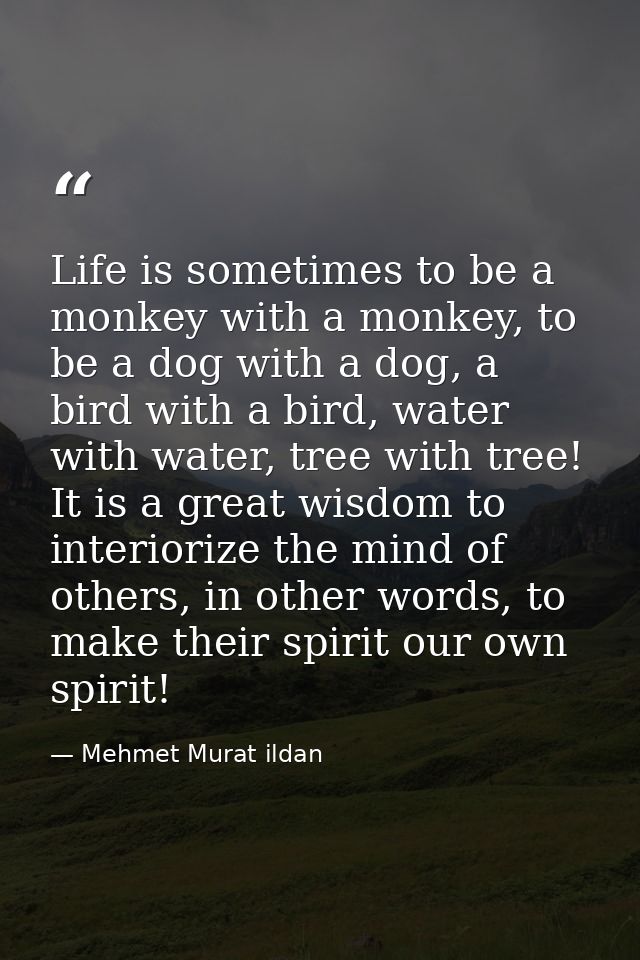 Life is sometimes to be a monkey with a monkey, to be a dog with a dog, a bird with a bird, water with water, tree with  — Mehmet Murat ildan