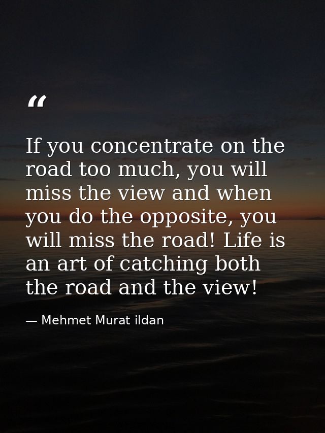 If you concentrate on the road too much, you will miss the view and when you do the opposite, you will miss the road! Li — Mehmet Murat ildan