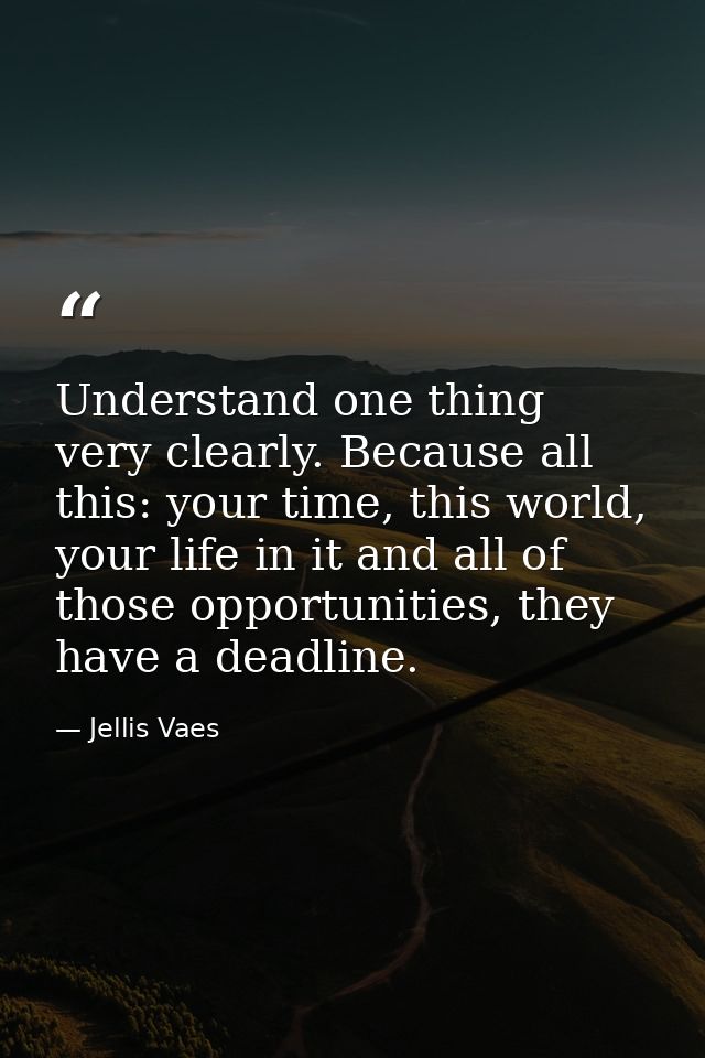 Understand one thing very clearly. Because all this: your time, this world, your life in it and all of those opportuniti — Jellis Vaes