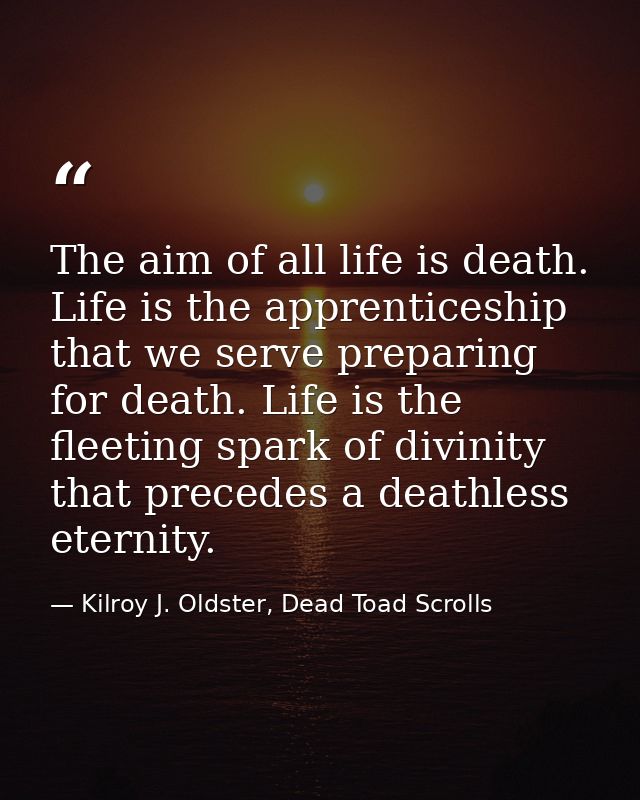 The aim of all life is death. Life is the apprenticeship that we serve preparing for death. Life is the fleeting spark o — Kilroy J. Oldster, Dead Toad Scrolls
