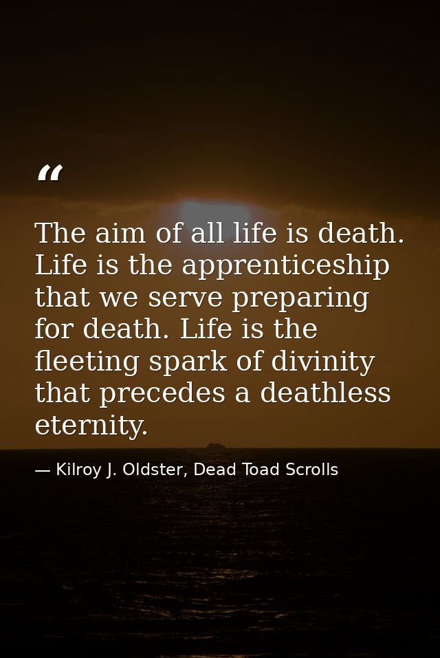 The aim of all life is death. Life is the apprenticeship that we serve preparing for death. Life is the fleeting spark o — Kilroy J. Oldster, Dead Toad Scrolls