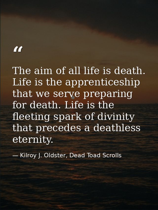 The aim of all life is death. Life is the apprenticeship that we serve preparing for death. Life is the fleeting spark o — Kilroy J. Oldster, Dead Toad Scrolls