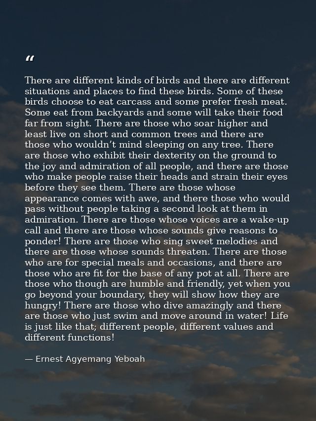 There are different kinds of birds and there are different situations and places to find these birds. Some of these bird — Ernest Agyemang Yeboah