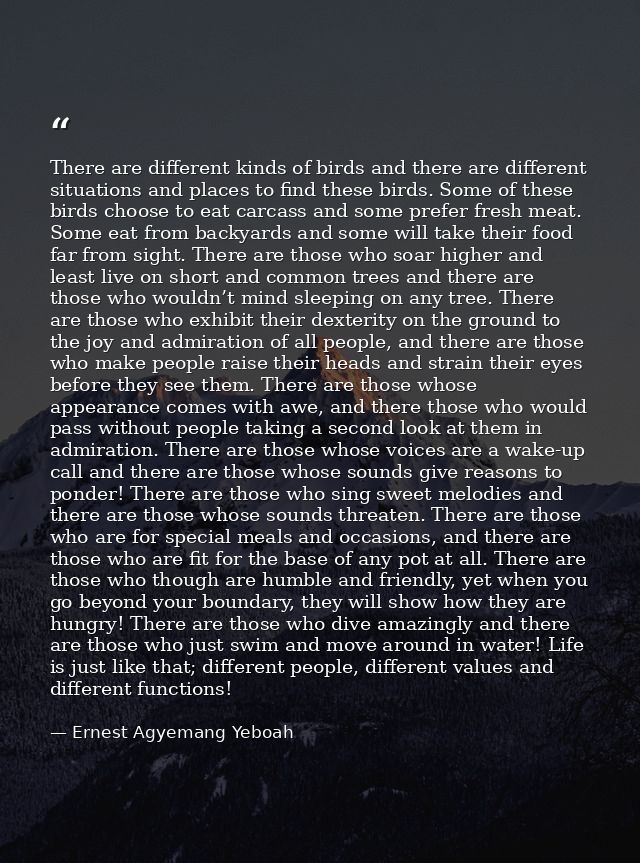 There are different kinds of birds and there are different situations and places to find these birds. Some of these bird — Ernest Agyemang Yeboah
