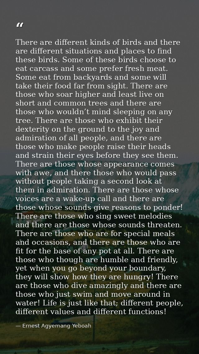 There are different kinds of birds and there are different situations and places to find these birds. Some of these bird — Ernest Agyemang Yeboah