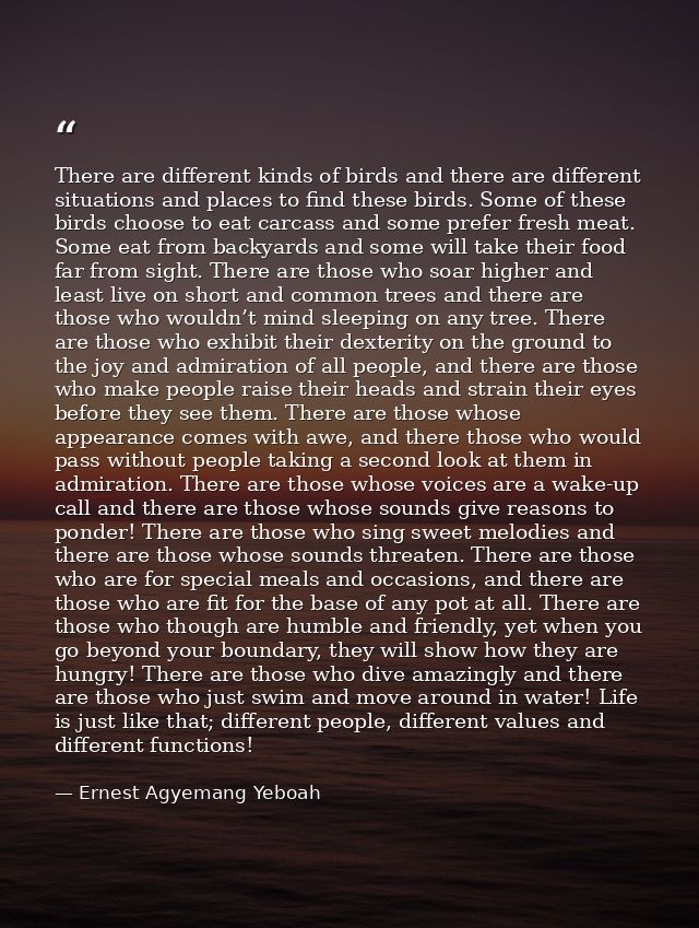 There are different kinds of birds and there are different situations and places to find these birds. Some of these bird — Ernest Agyemang Yeboah