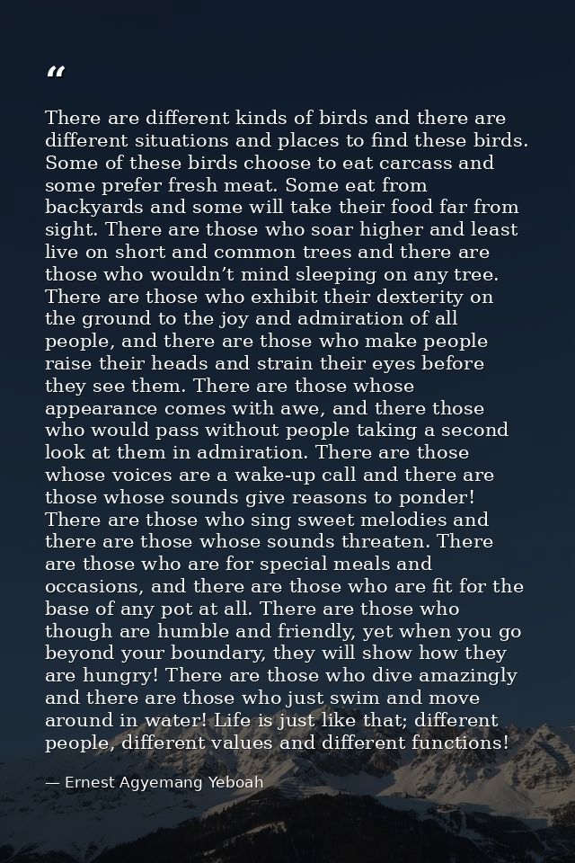 There are different kinds of birds and there are different situations and places to find these birds. Some of these bird — Ernest Agyemang Yeboah