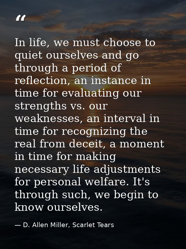 In life, we must choose to quiet ourselves and go through a period of reflection, an instance in time for evaluating our — D. Allen Miller, Scarlet Tears