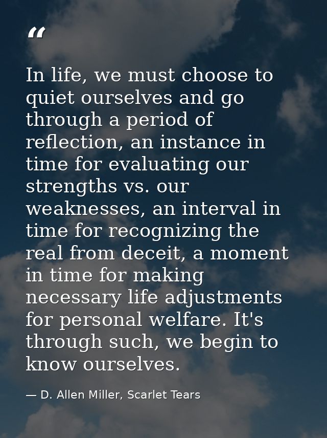 In life, we must choose to quiet ourselves and go through a period of reflection, an instance in time for evaluating our — D. Allen Miller, Scarlet Tears