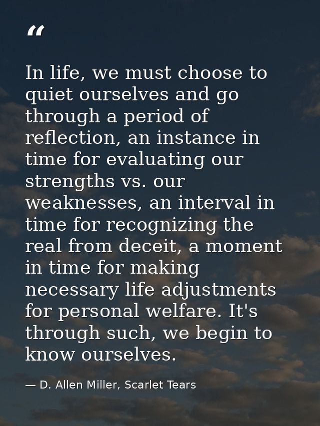 In life, we must choose to quiet ourselves and go through a period of reflection, an instance in time for evaluating our — D. Allen Miller, Scarlet Tears