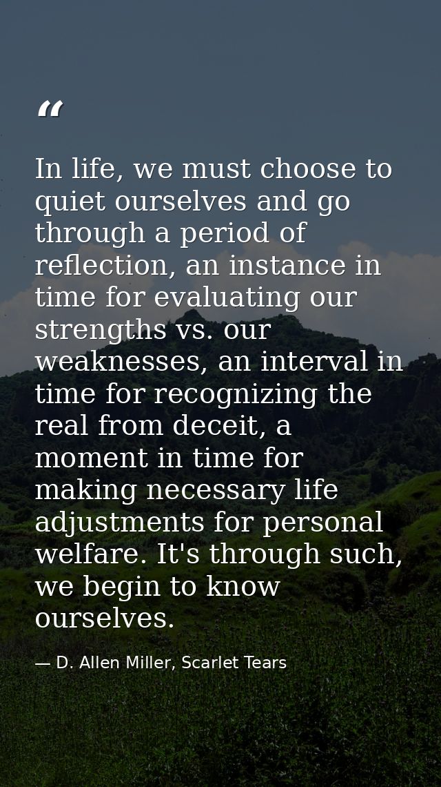 In life, we must choose to quiet ourselves and go through a period of reflection, an instance in time for evaluating our — D. Allen Miller, Scarlet Tears