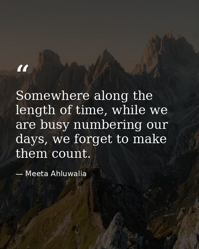 Somewhere along the length of time, while we are busy numbering our days, we forget to make them count. — Meeta Ahluwalia
