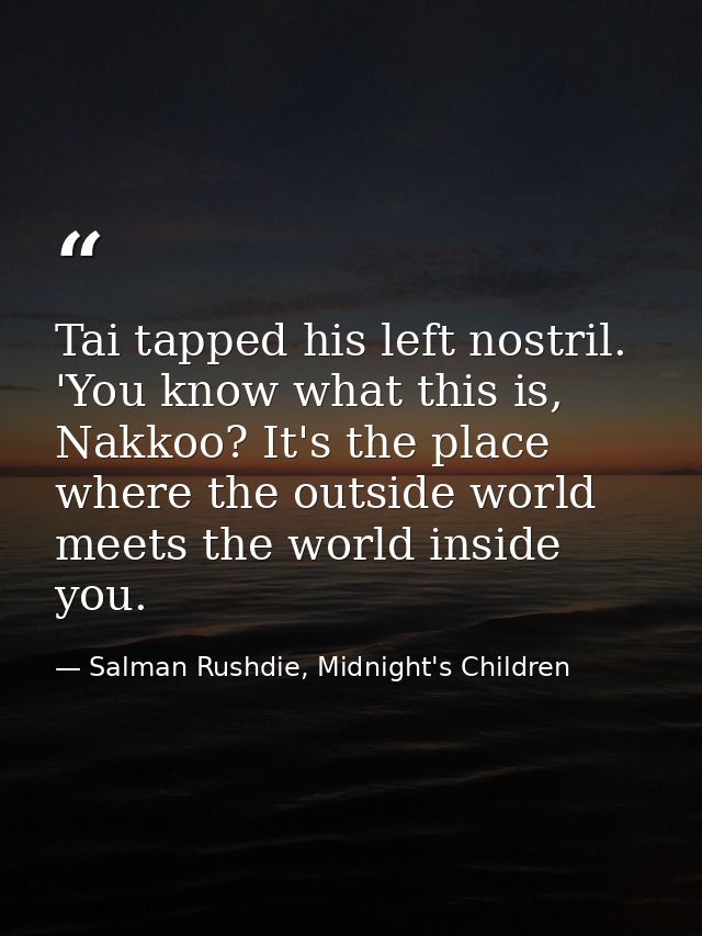 Tai tapped his left nostril. 'You know what this is, Nakkoo? It's the place where the outside world meets the world insi — Salman Rushdie, Midnight's Children