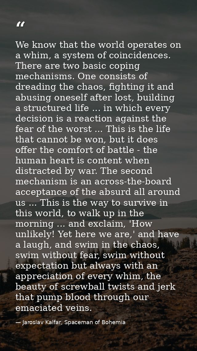 We know that the world operates on a whim, a system of coincidences. There are two basic coping mechanisms. One consists — Jaroslav Kalfar, Spaceman of Bohemia