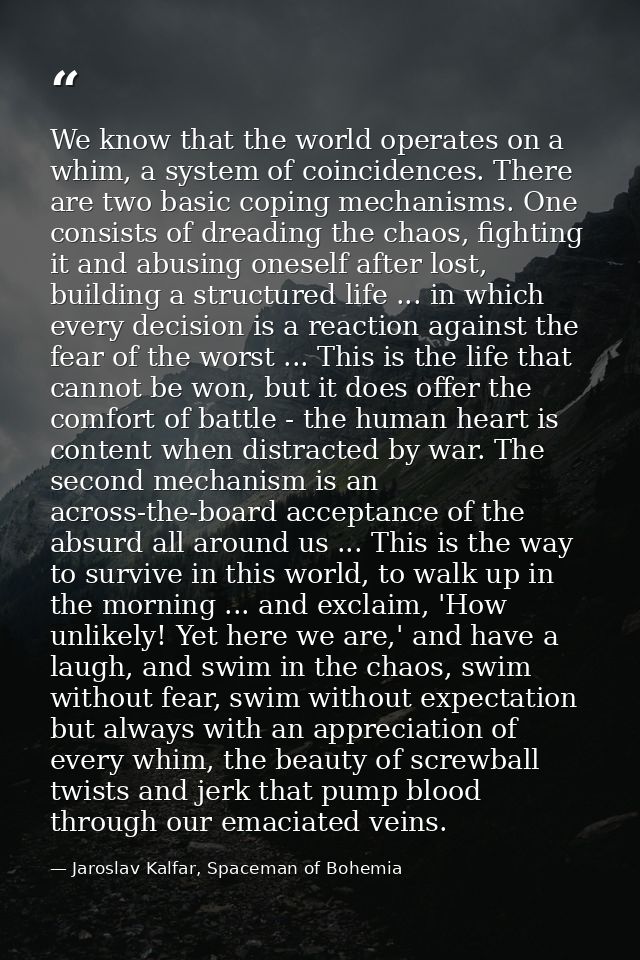We know that the world operates on a whim, a system of coincidences. There are two basic coping mechanisms. One consists — Jaroslav Kalfar, Spaceman of Bohemia