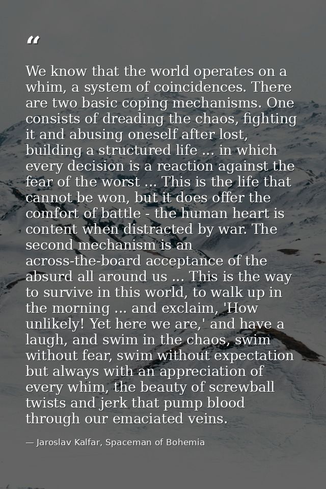 We know that the world operates on a whim, a system of coincidences. There are two basic coping mechanisms. One consists — Jaroslav Kalfar, Spaceman of Bohemia