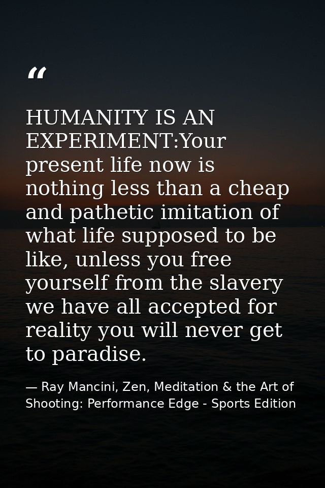 HUMANITY IS AN EXPERIMENT:Your present life now is nothing less than a cheap and pathetic imitation of what life suppose — Ray Mancini, Zen, Meditation & the Art of Shooting: Performance Edge - Sports Edition