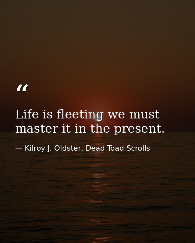 Life is fleeting we must master it in the present. — Kilroy J. Oldster, Dead Toad Scrolls