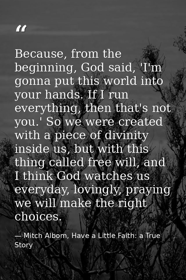 Because, from the beginning, God said, 'I'm gonna put this world into your hands. If I run everything, then that's not y — Mitch Albom, Have a Little Faith: a True Story