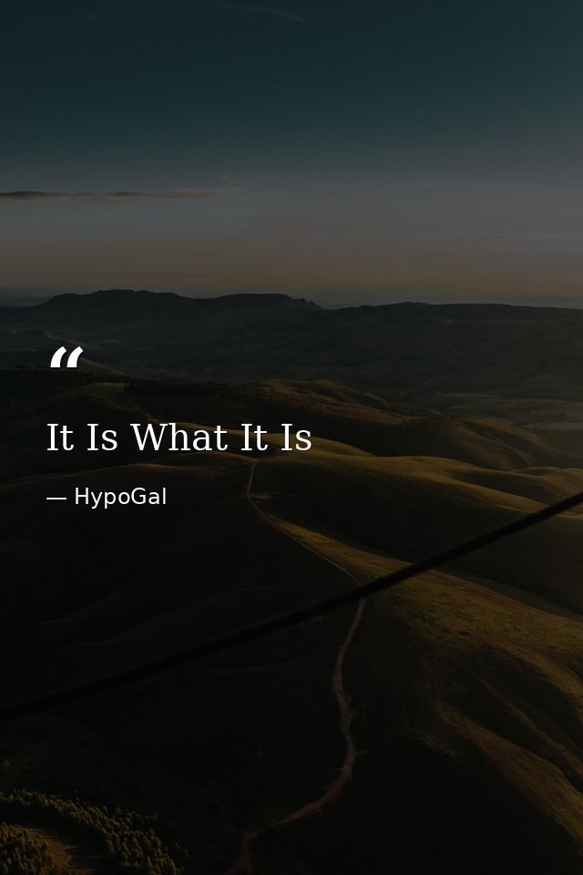 It Is What It Is — HypoGal