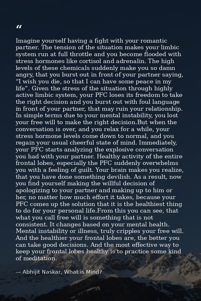 Imagine yourself having a fight with your romantic partner. The tension of the situation makes your limbic system run at — Abhijit Naskar, What is Mind?