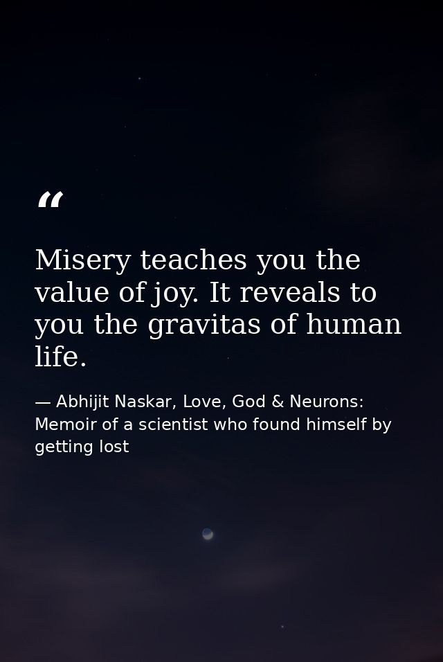 Misery teaches you the value of joy. It reveals to you the gravitas of human life. — Abhijit Naskar, Love, God & Neurons: Memoir of a scientist who found himself by getting lost