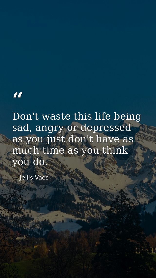 Don't waste this life being sad, angry or depressed as you just don't have as much time as you think you do. — Jellis Vaes