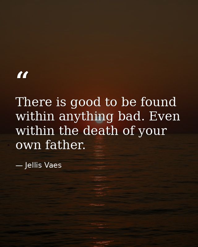 There is good to be found within anything bad. Even within the death of your own father. — Jellis Vaes