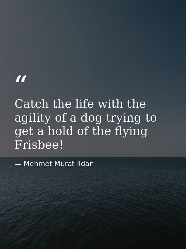 Catch the life with the agility of a dog trying to get a hold of the flying Frisbee! — Mehmet Murat ildan