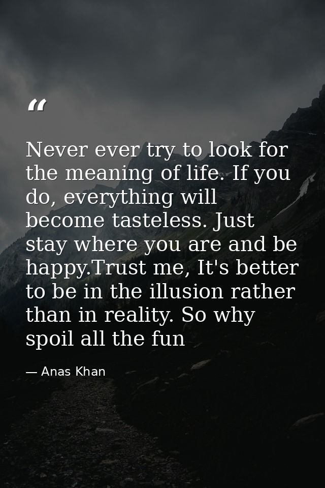 Never ever try to look for the meaning of life. If you do, everything will become tasteless. Just stay where you are and — Anas Khan