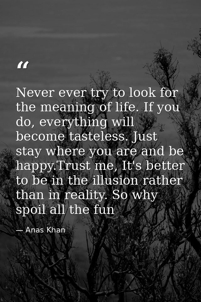 Never ever try to look for the meaning of life. If you do, everything will become tasteless. Just stay where you are and — Anas Khan