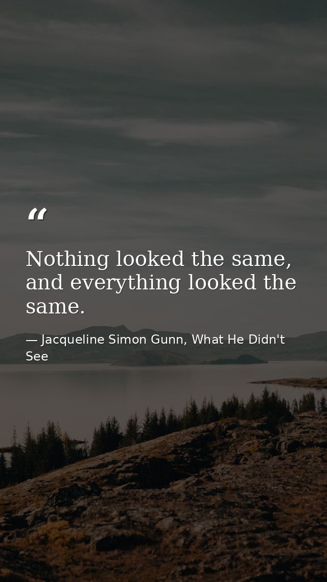 Nothing looked the same, and everything looked the same. — Jacqueline Simon Gunn, What He Didn't See