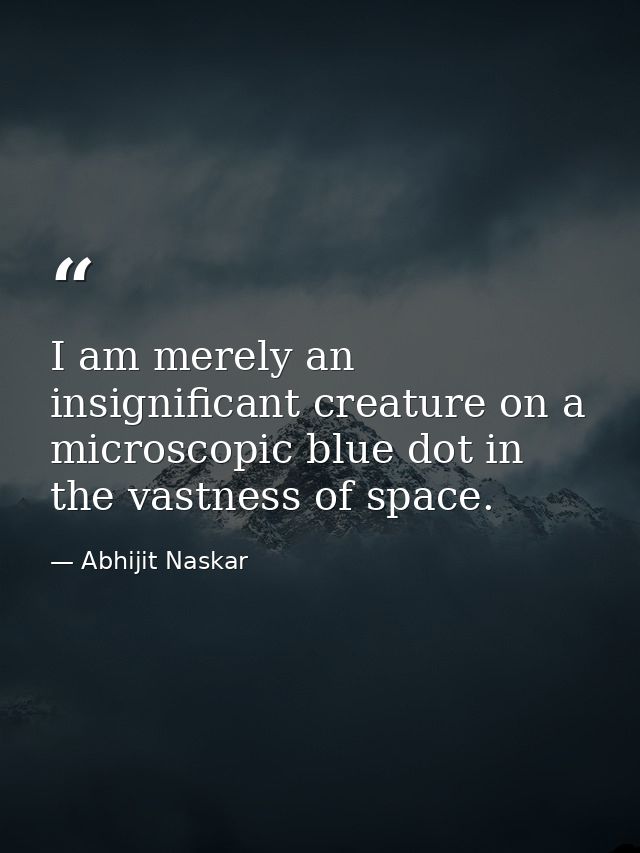 I am merely an insignificant creature on a microscopic blue dot in the vastness of space. — Abhijit Naskar