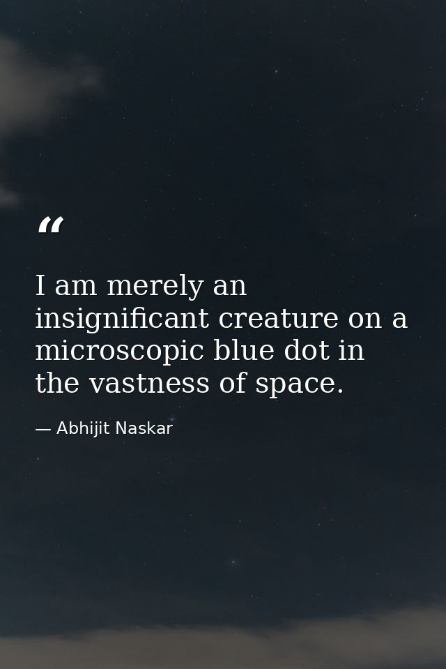 I am merely an insignificant creature on a microscopic blue dot in the vastness of space. — Abhijit Naskar